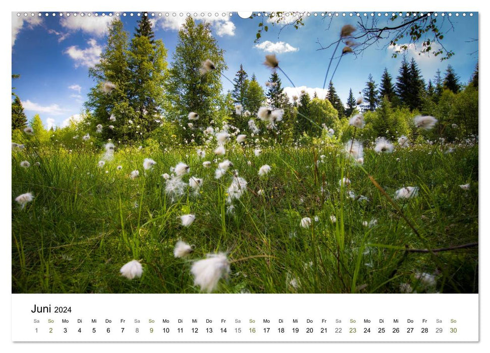 Dream landscapes in the Bavarian Forest (CALVENDO wall calendar 2024) 
