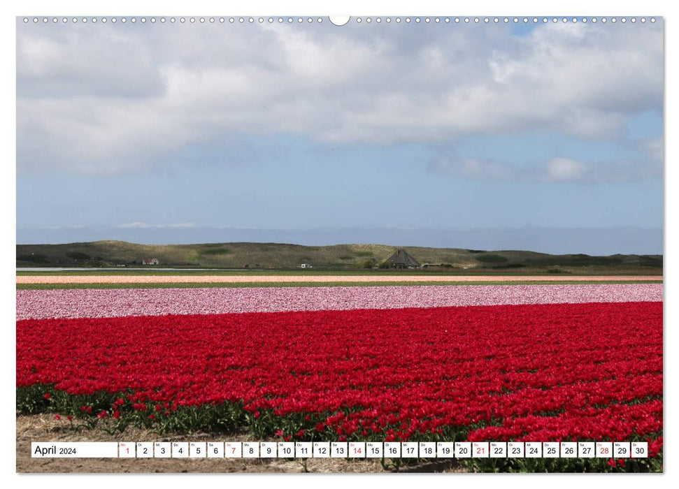 Callantsoog (CALVENDO wall calendar 2024) 