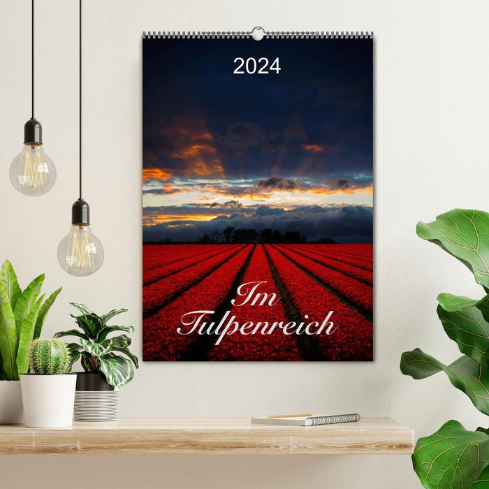 In the tulip kingdom (CALVENDO wall calendar 2024) 