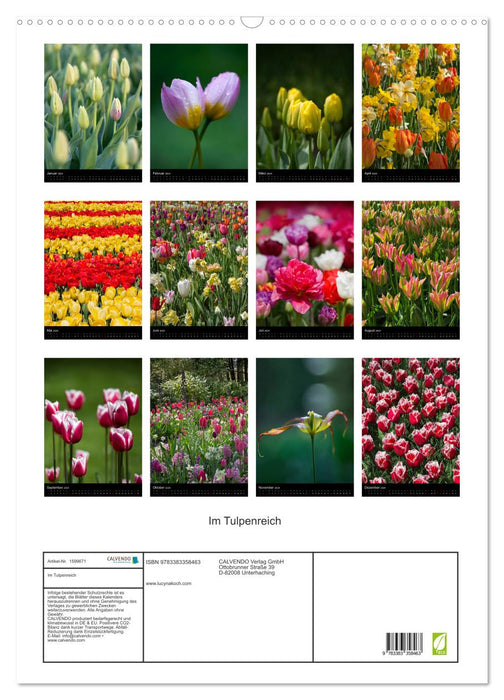 In the tulip kingdom (CALVENDO wall calendar 2024) 