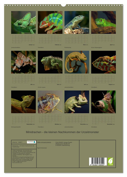 Mini dragons - the little descendants of prehistoric monsters (CALVENDO Premium Wall Calendar 2024) 