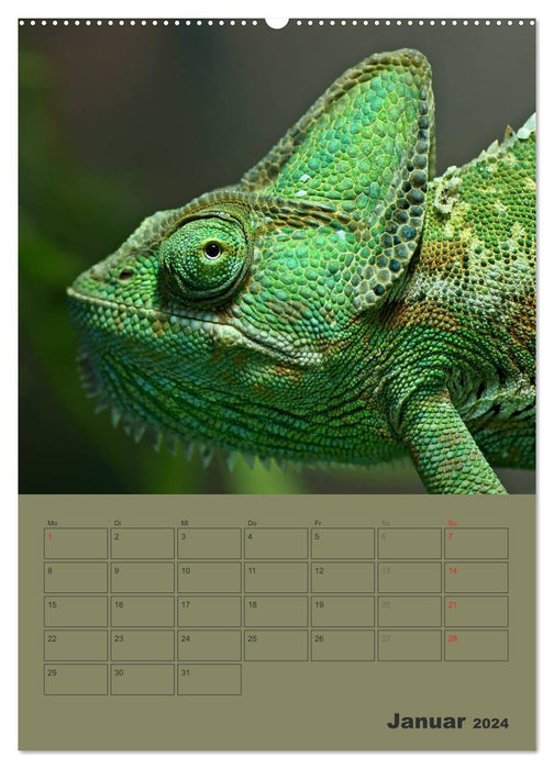 Mini dragons - the little descendants of prehistoric monsters (CALVENDO Premium Wall Calendar 2024) 