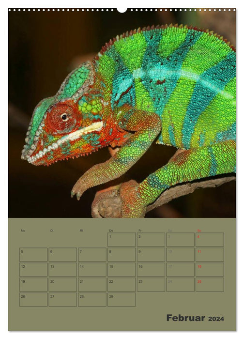 Minidrachen - Die kleinen Nachkommen der Urzeitmonster (CALVENDO Premium Wandkalender 2024)