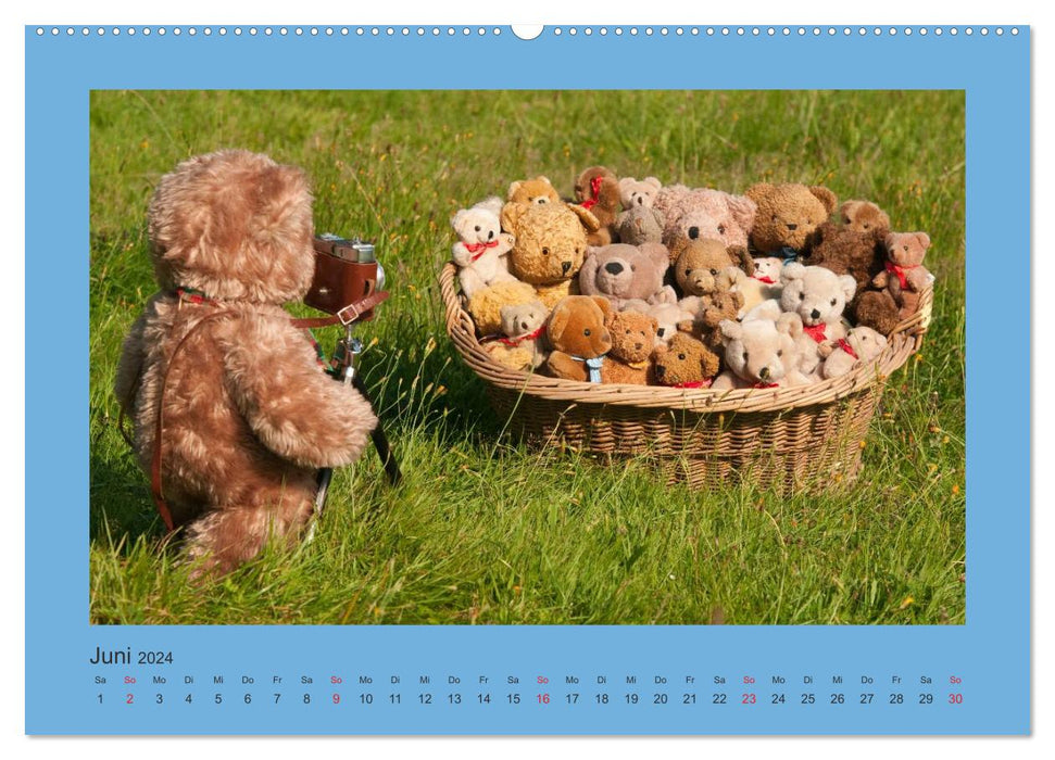 Teddys My Friends (CALVENDO Wall Calendar 2024) 