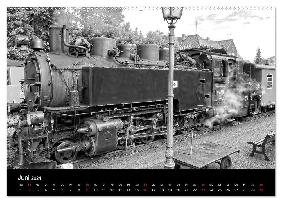 Une année avec le chemin de fer à voie étroite de Zittau (calendrier mural CALVENDO 2024) 