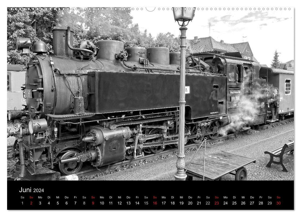 Ein Jahr mit der Schmalspurbahn aus Zittau (CALVENDO Wandkalender 2024)