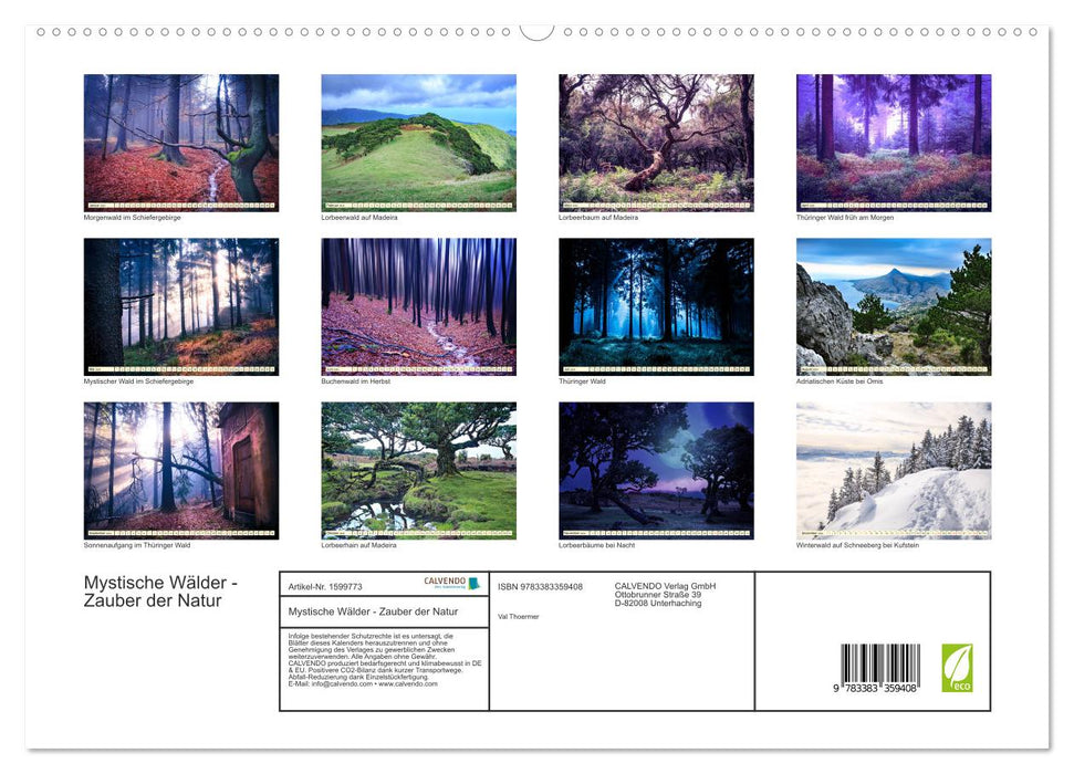 Mystische Wälder - Zauber der Natur (CALVENDO Premium Wandkalender 2024)