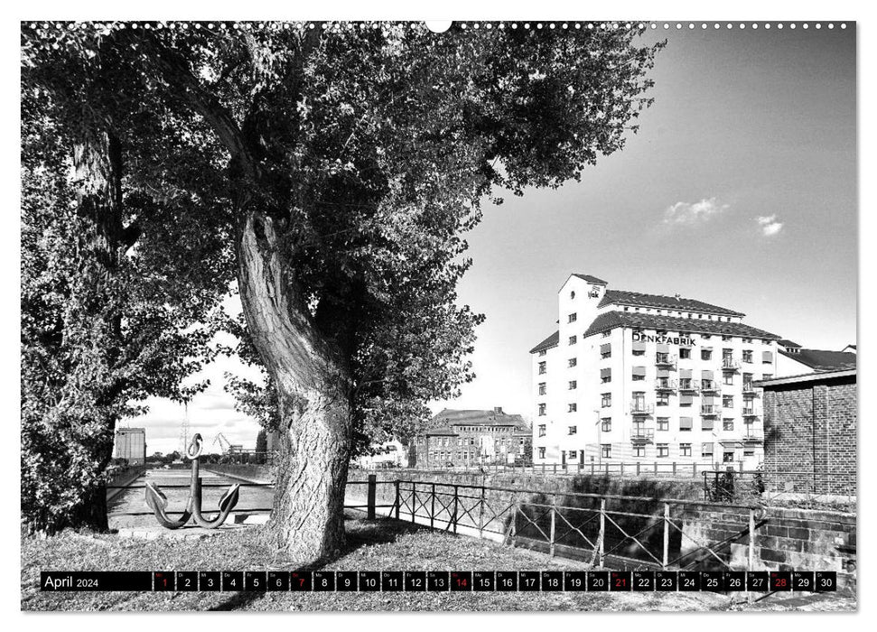 Magdebourg en noir et blanc (calendrier mural CALVENDO 2024) 