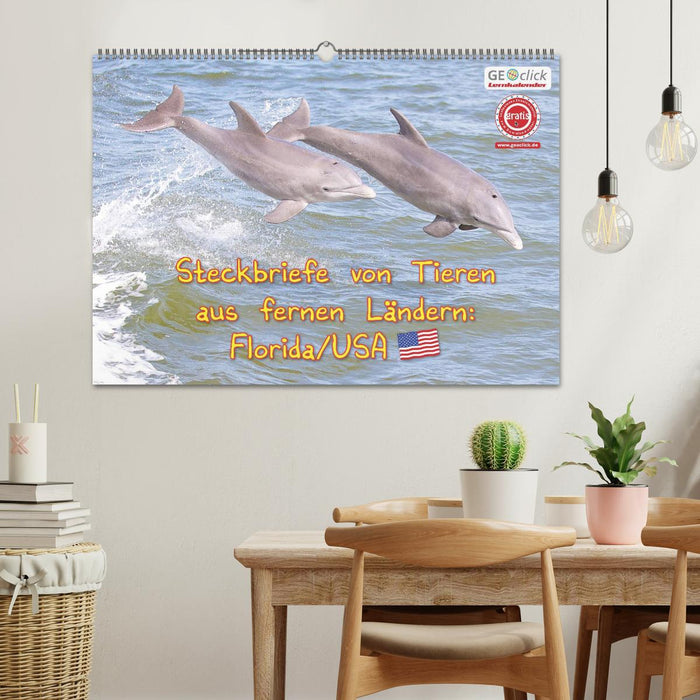 Calendrier d'apprentissage GEOclick : profils d'animaux de pays lointains : Floride/USA (calendrier mural CALVENDO 2024) 