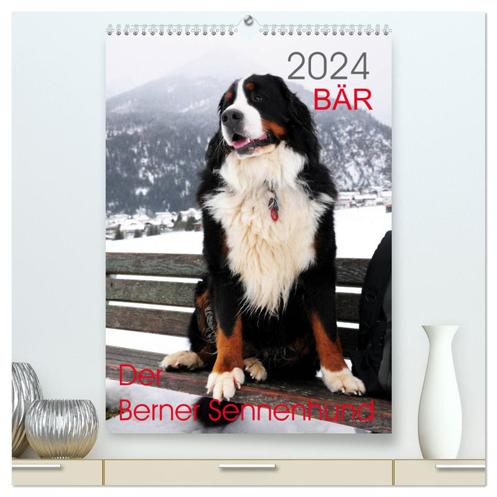 OURS - Le Bouvier bernois (Calvendo Premium Wall Calendar 2024) 