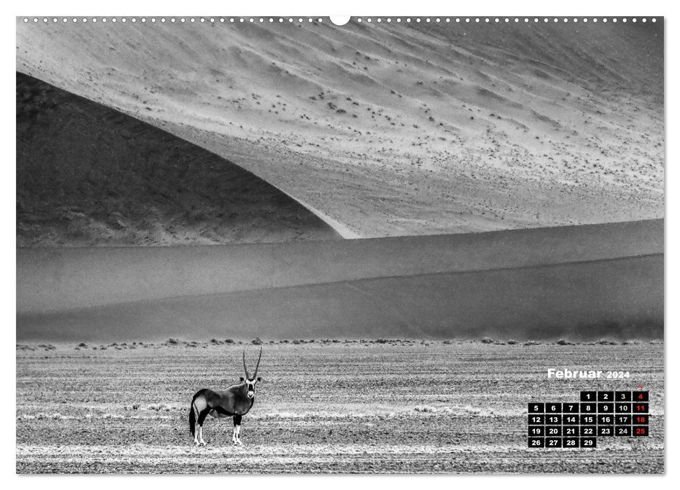 Namibie noir et blanc (Calendrier mural CALVENDO 2024) 