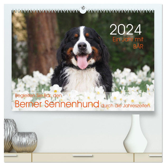 Ein Jahr mit BÄR. Begleiten Sie Bär, den Berner Sennenhund, durch die Jahreszeiten. (CALVENDO Premium Wandkalender 2024)