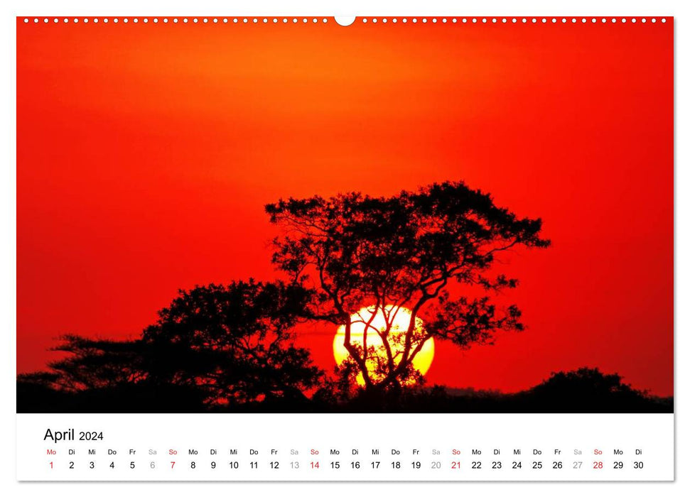 PARC NATIONAL KRUGER Africa's Pearl (Calvendo Premium Calendrier mural 2024) 