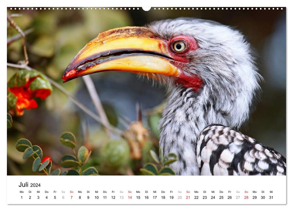 KRUGER NATIONALPARK Afrikas Perle (CALVENDO Premium Wandkalender 2024)