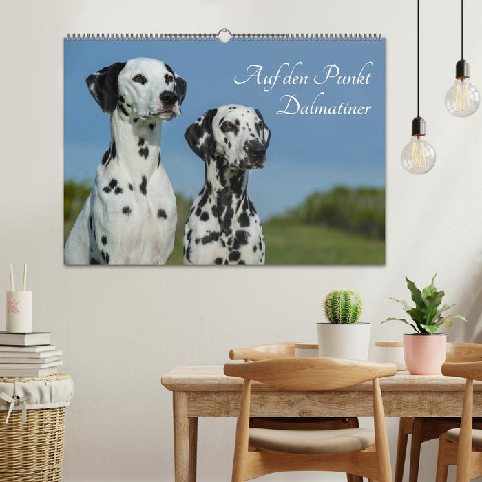 Au point - Dalmatiens (Calendrier mural CALVENDO 2024) 