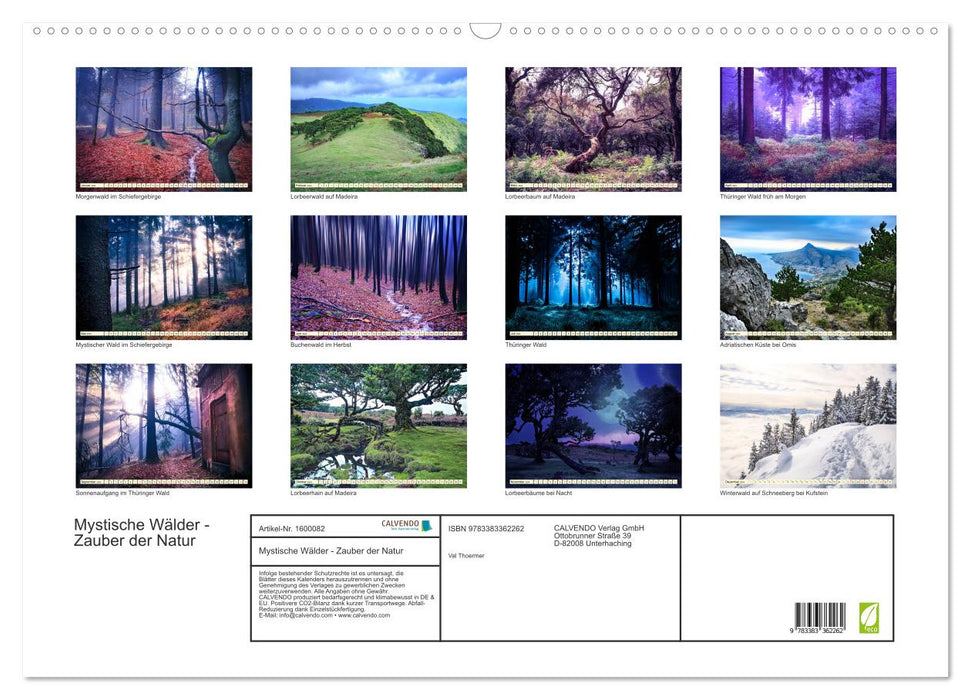 Mystische Wälder - Zauber der Natur (CALVENDO Wandkalender 2024)