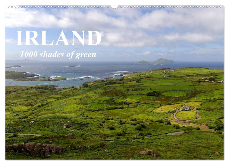 IRLAND. 1000 shades of green (CALVENDO Wandkalender 2024)