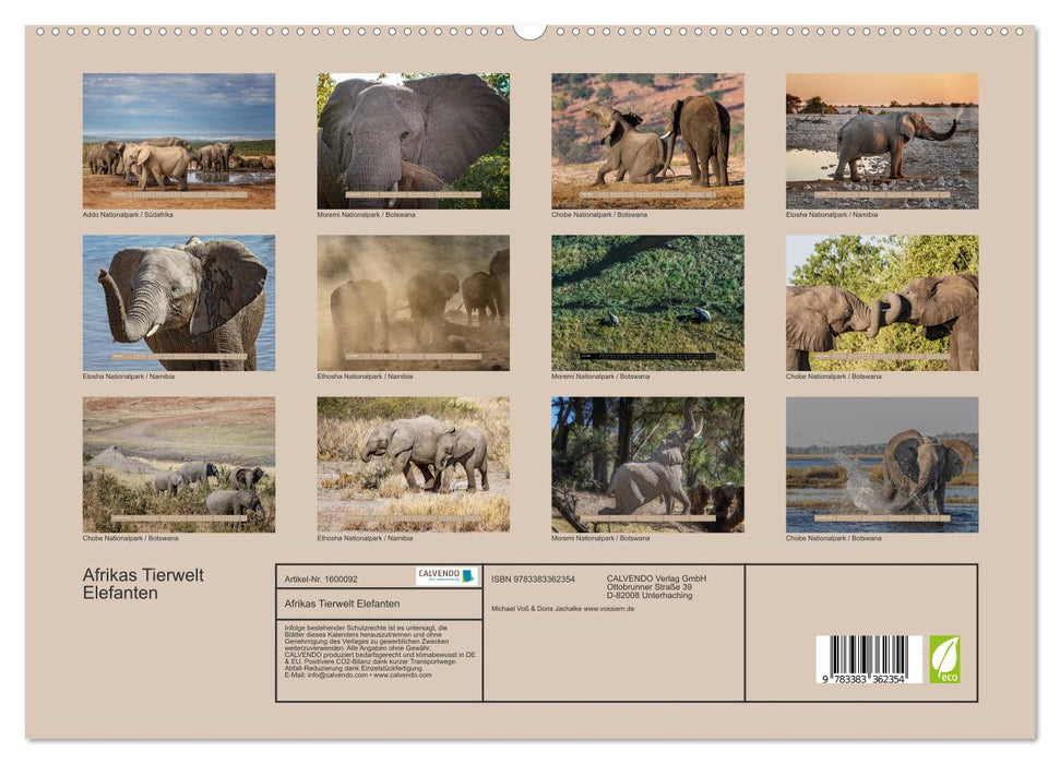 La faune d'Afrique – Éléphants sauvages (Calvendo Premium Wall Calendar 2024) 