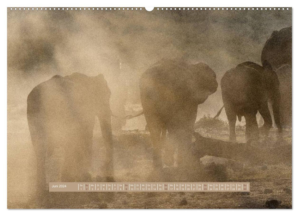 La faune d'Afrique – Éléphants sauvages (Calvendo Premium Wall Calendar 2024) 