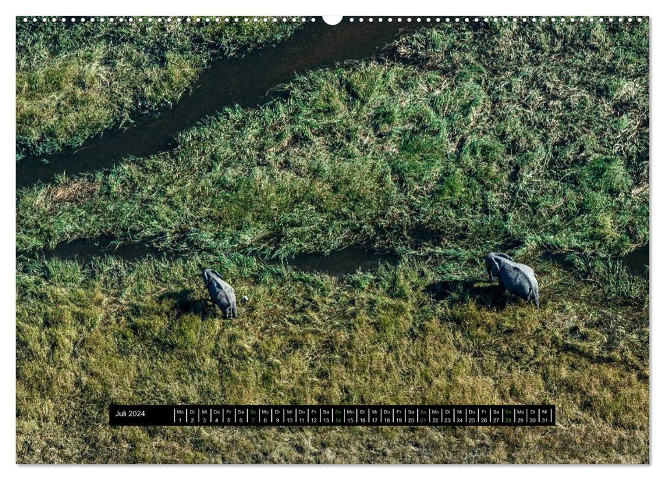 Afrikas Tierwelt - Wilde Elefanten (CALVENDO Premium Wandkalender 2024)
