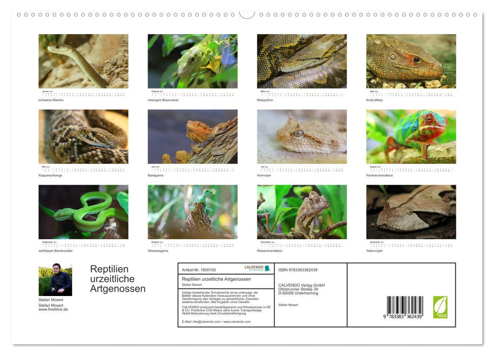 Espèces préhistoriques de reptiles (Calendrier mural CALVENDO Premium 2024) 