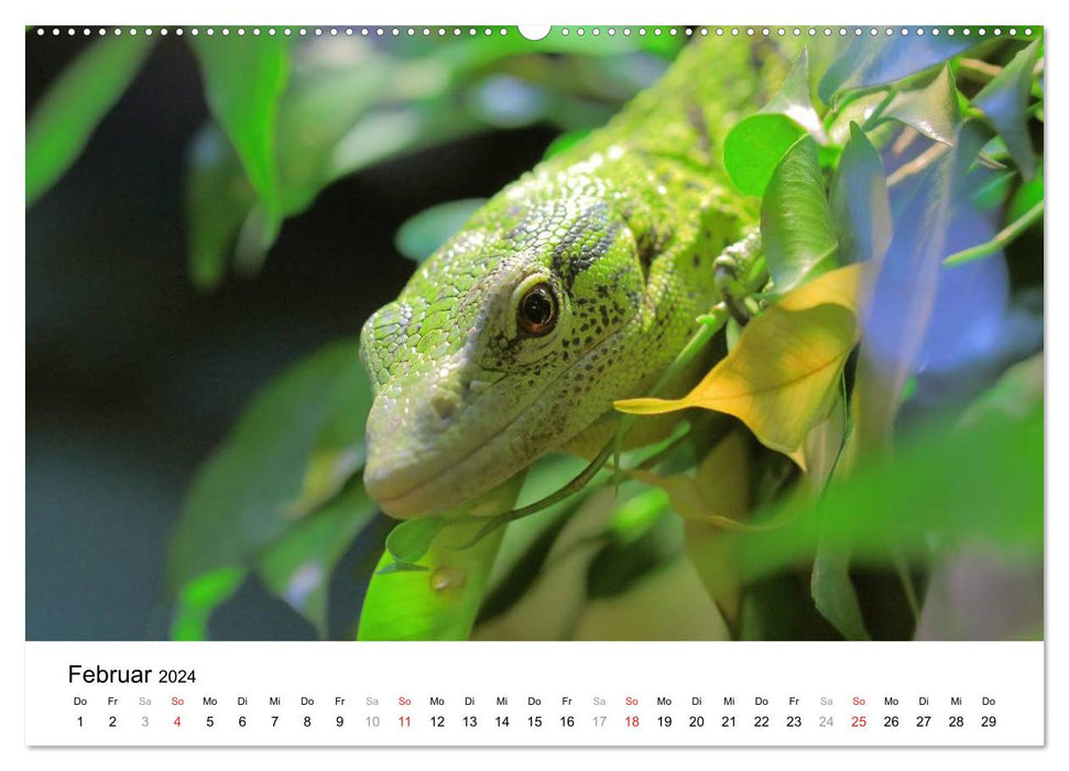 Espèces préhistoriques de reptiles (Calendrier mural CALVENDO Premium 2024) 