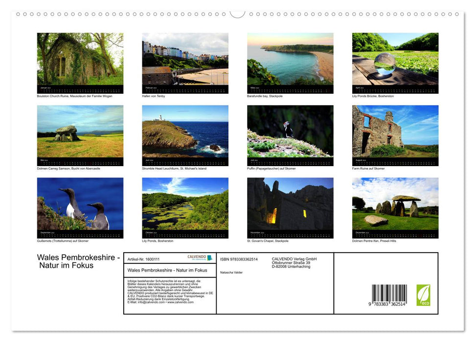 Pays de Galles Pembrokeshire – Nature in Focus – (Calvendo Premium Wall Calendar 2024) 