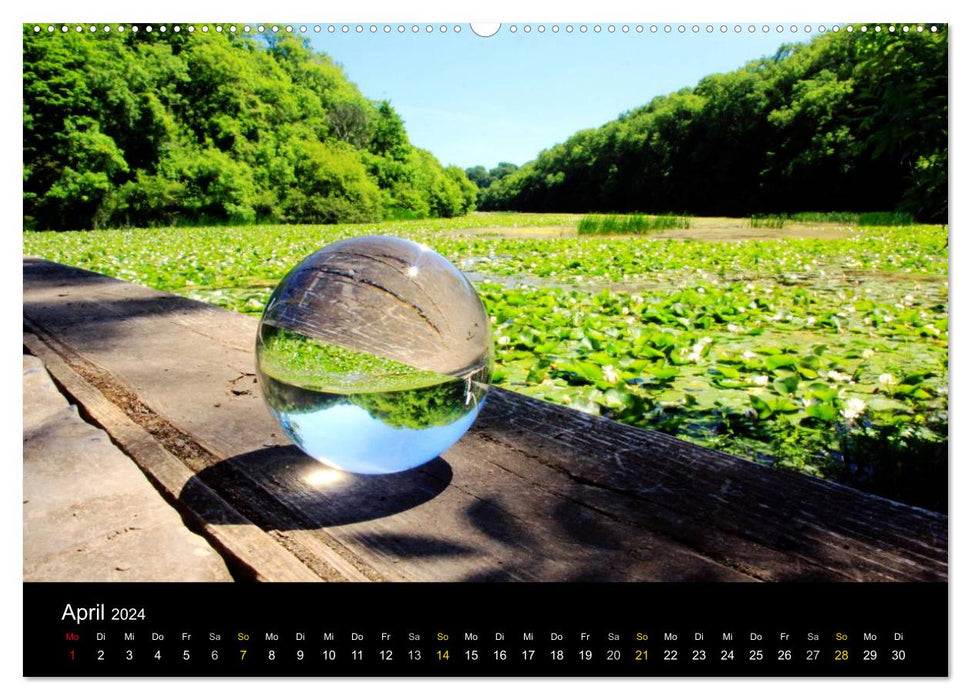 Pays de Galles Pembrokeshire – Nature in Focus – (Calvendo Premium Wall Calendar 2024) 