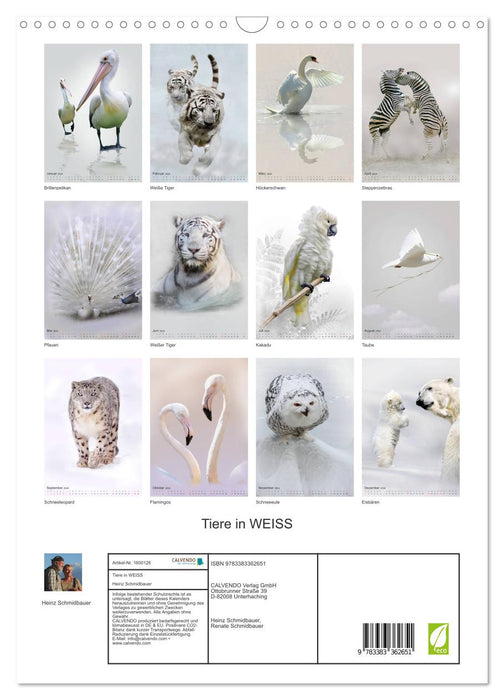 Tiere in Weiß (CALVENDO Wandkalender 2024)