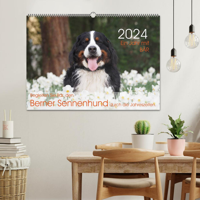 Ein Jahr mit BÄR. Begleiten Sie Bär, den Berner Sennenhund, durch die Jahreszeiten. (CALVENDO Wandkalender 2024)