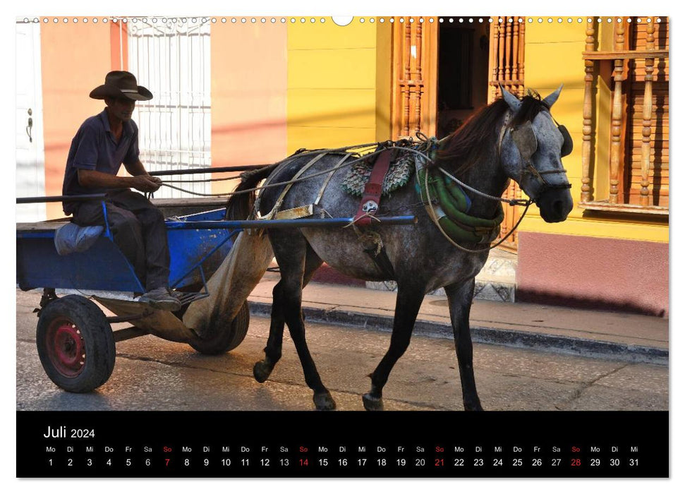 Cuba Real – Diversité des Caraïbes (Calvendo Premium Wall Calendar 2024) 