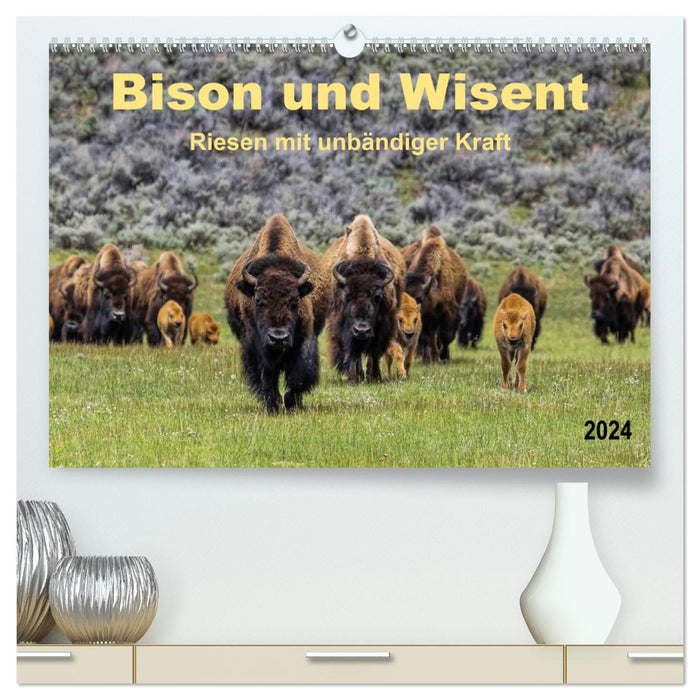 Bison und Wisent - Riesen mit unbändiger Kraft (CALVENDO Premium Wandkalender 2024)