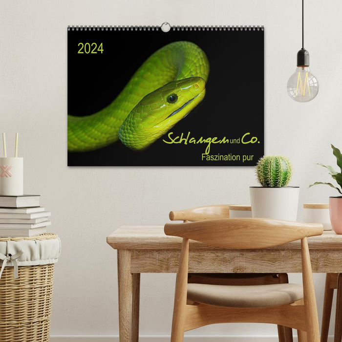 Schlangen und Co. - Faszination pur (CALVENDO Wandkalender 2024)