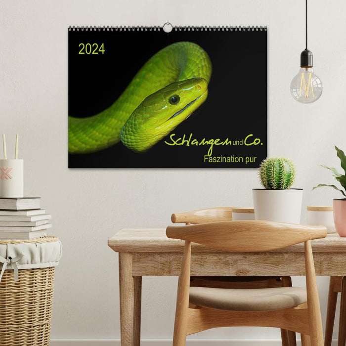 Serpents et compagnie - pure fascination (calendrier mural CALVENDO 2024) 