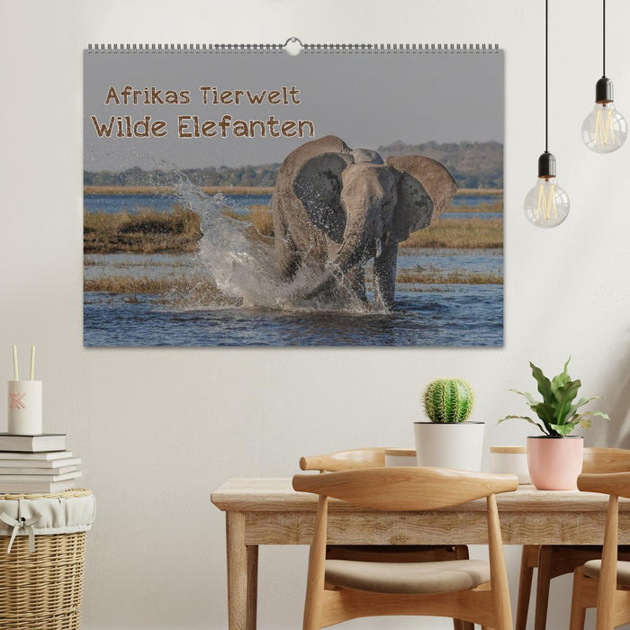 Afrikas Tierwelt - Wilde Elefanten (CALVENDO Wandkalender 2024)
