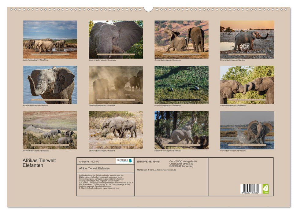 Afrikas Tierwelt - Wilde Elefanten (CALVENDO Wandkalender 2024)