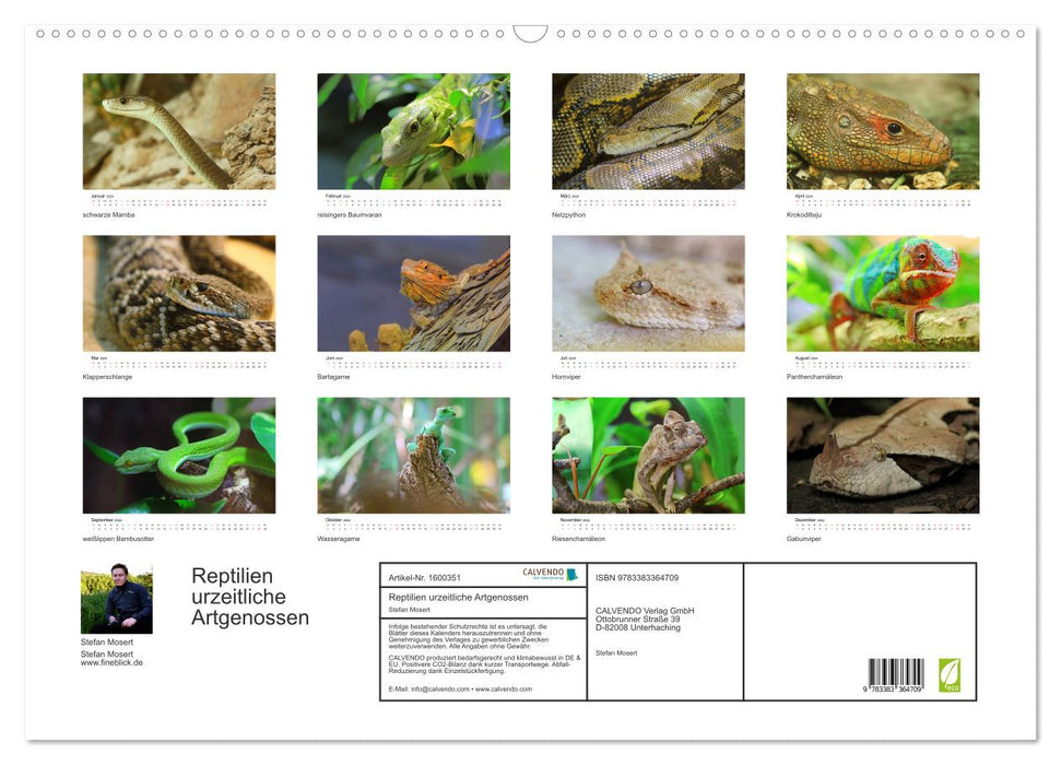 Reptilien urzeitliche Artgenossen (CALVENDO Wandkalender 2024)