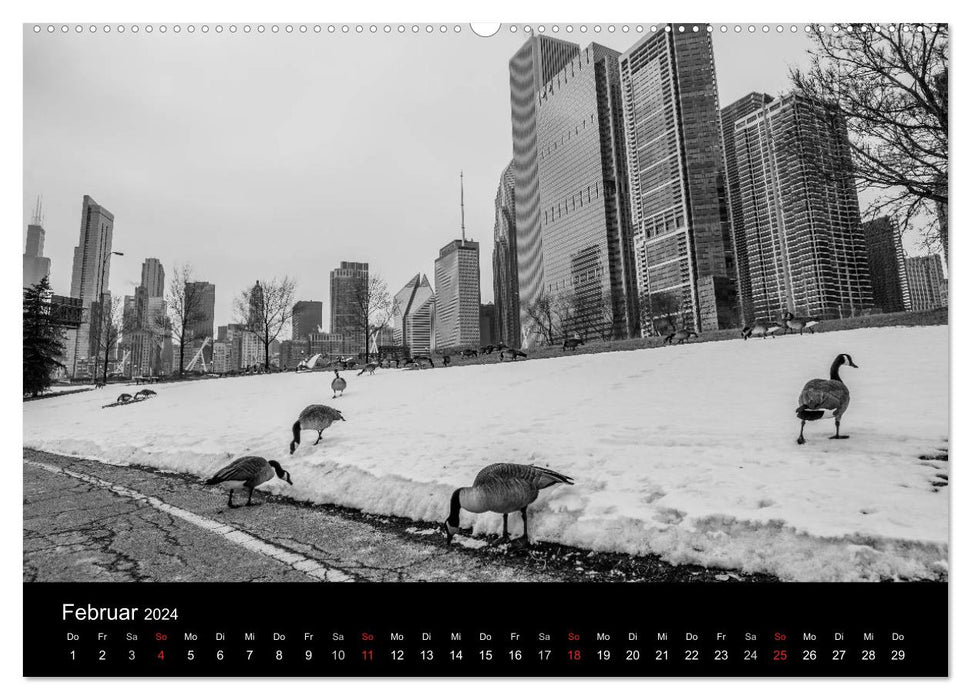 Icy Chicago (CALVENDO Wandkalender 2024)