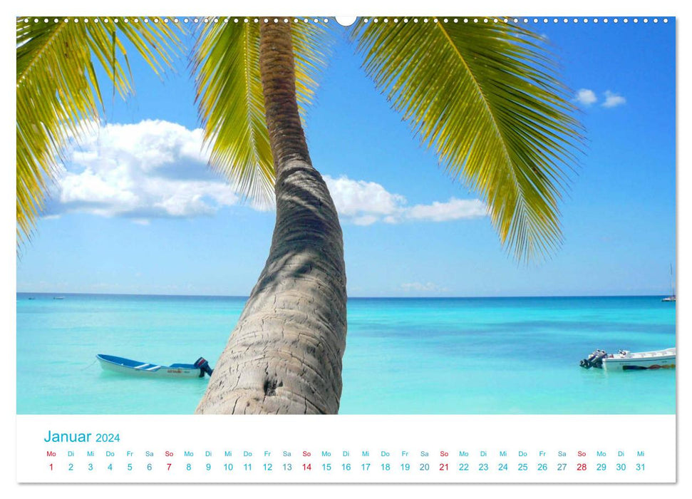 Sous les palmiers 2024. Impressions des plus belles plages du monde (Calendrier mural CALVENDO Premium 2024) 