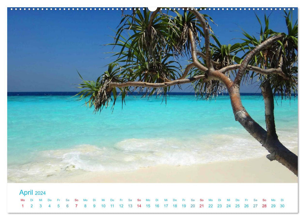 Sous les palmiers 2024. Impressions des plus belles plages du monde (Calendrier mural CALVENDO Premium 2024) 