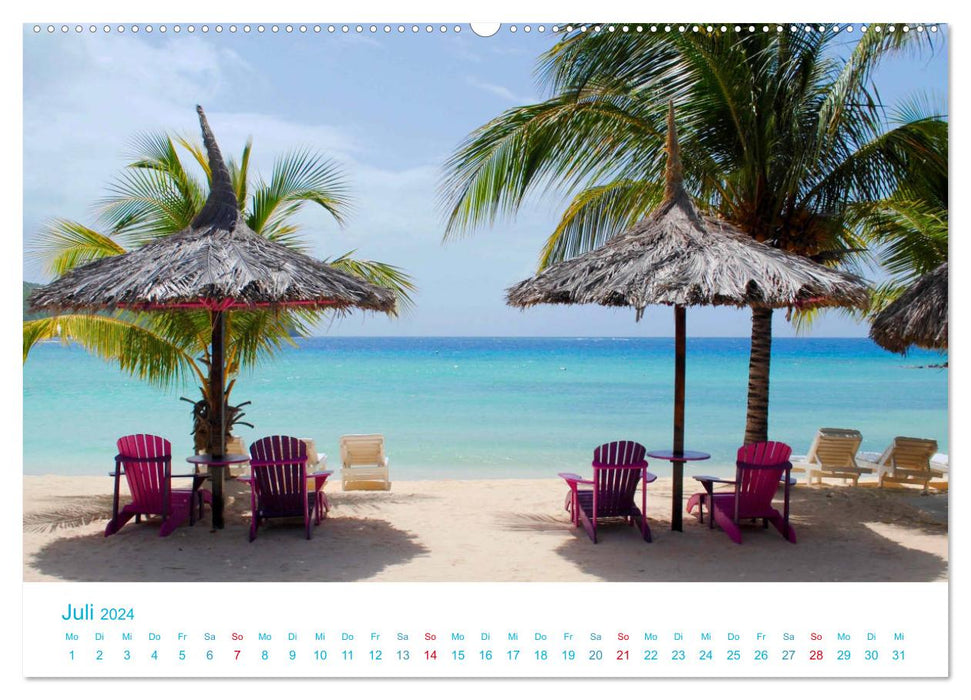 Sous les palmiers 2024. Impressions des plus belles plages du monde (Calendrier mural CALVENDO Premium 2024) 