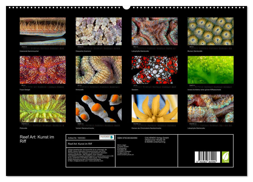 Reef Art – Art dans le récif (calendrier mural CALVENDO Premium 2024) 