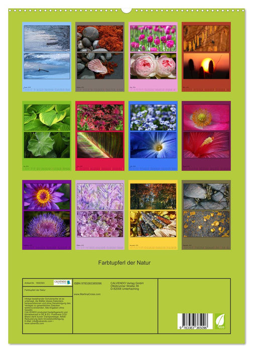 Des touches de couleur dans la nature (Calendrier mural CALVENDO Premium 2024) 