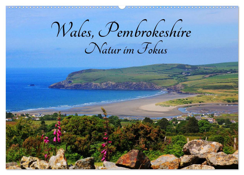 Wales Pembrokeshire - Natur im Fokus- (CALVENDO Wandkalender 2024)