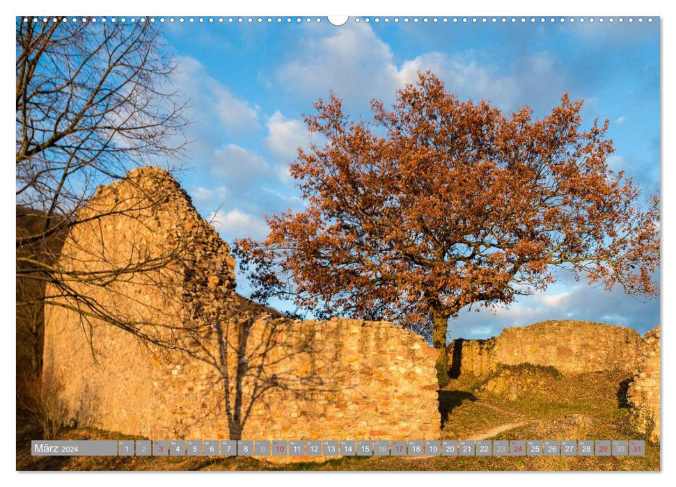 Kurpfalz 2024 (CALVENDO Wandkalender 2024)