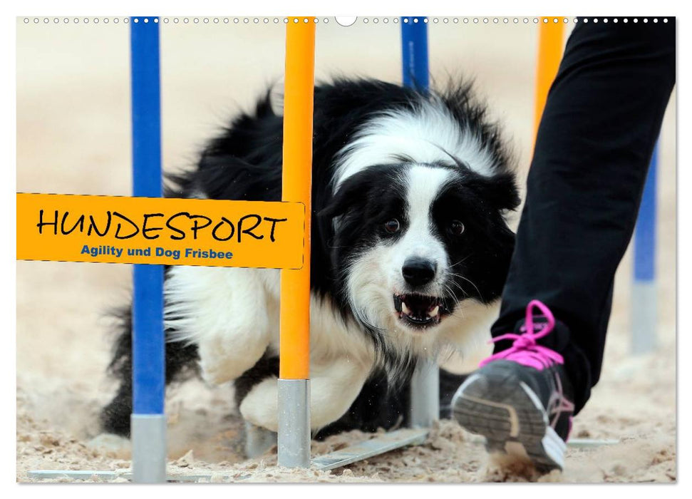 DOG SPORTS - Agility and Dog Frisbee (CALVENDO wall calendar 2024) 