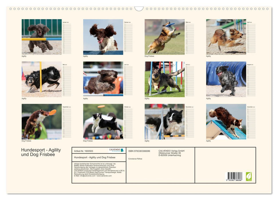 SPORTS CHIENS - Agilité et Frisbee pour chiens (Calendrier mural CALVENDO 2024) 