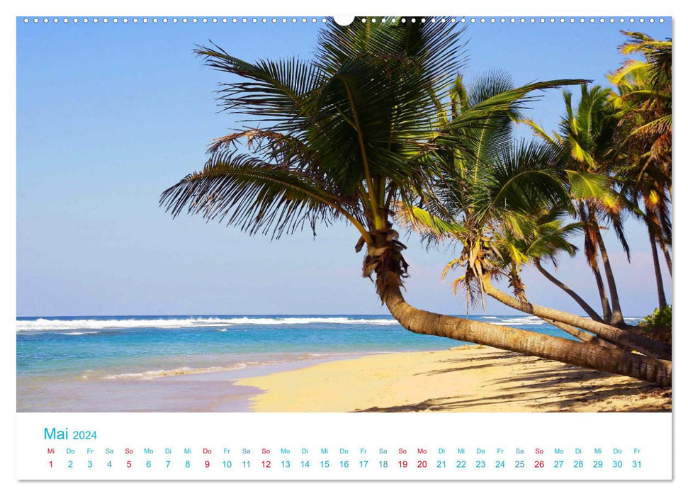 Under palm trees 2024. Impressions of the most beautiful beaches in the world (CALVENDO wall calendar 2024) 