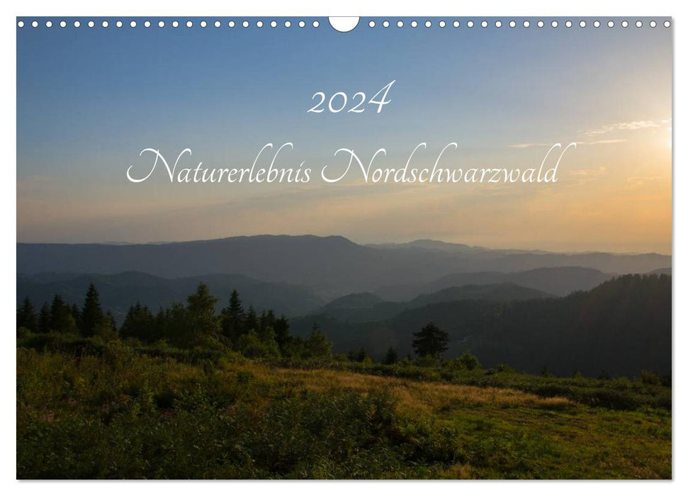 Naturerlebnis Nordschwarzwald (CALVENDO Wandkalender 2024)