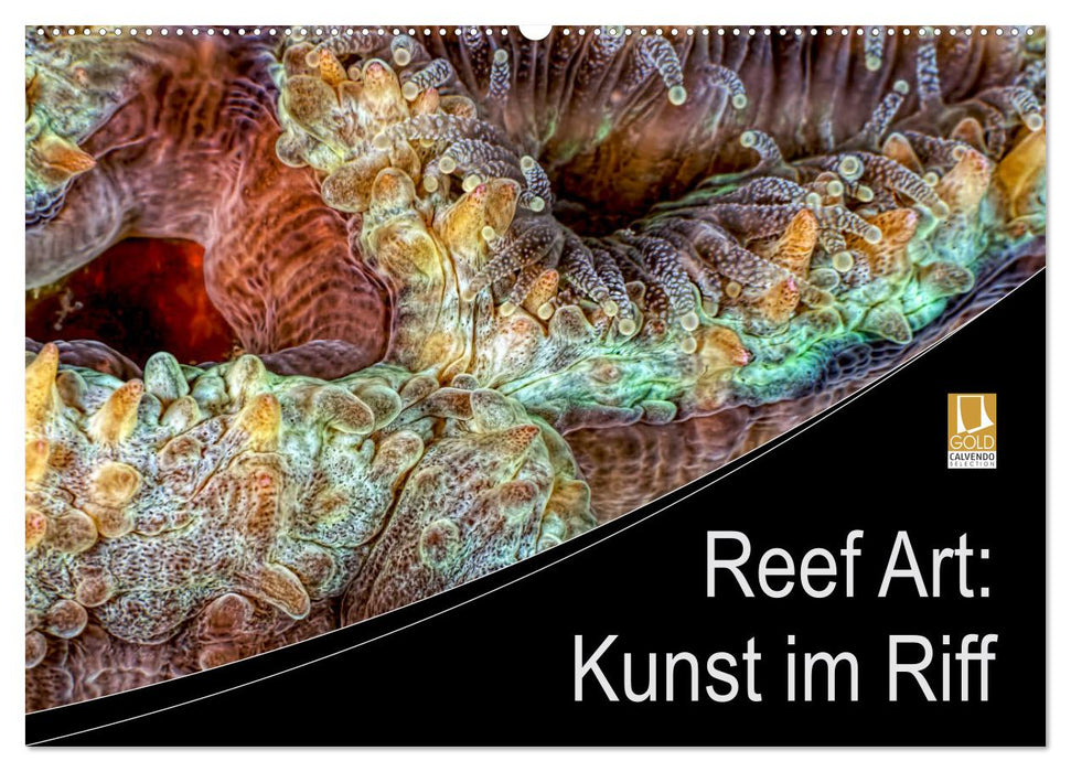 Reef Art – Art dans le récif (calendrier mural CALVENDO 2024) 